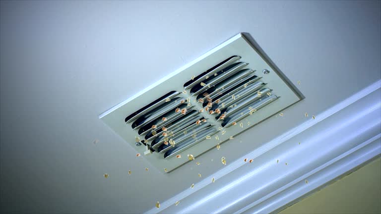 Air Duct Mold Removal in Greenbriar, VA